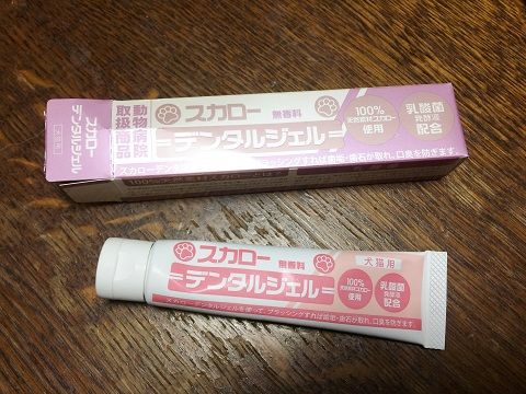 歯石と戦うぞ 道具編 柴犬なつき取扱説明書