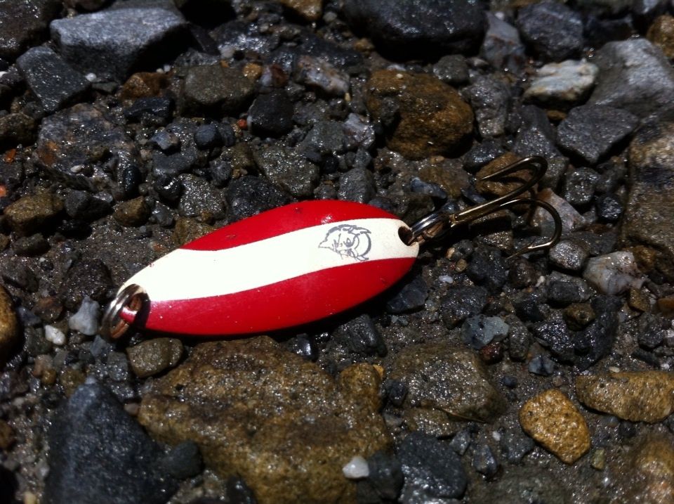 スプーンの好み 時々フィッシュ オン