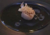hotate