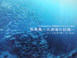 31be8335.jpg