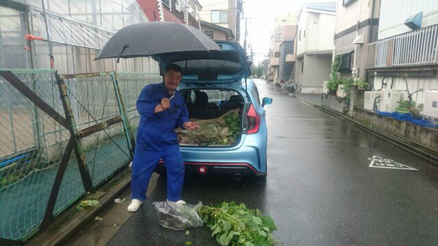 枝豆 圧力 点火沼 日々是 旧 クロスカブ