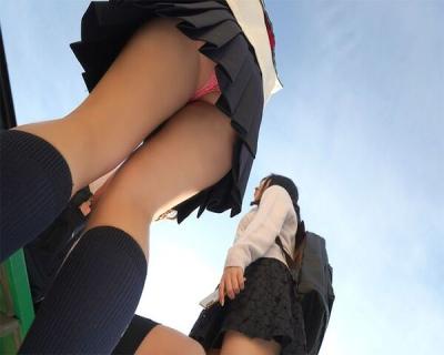 JKの下着『葉っぱ』にくるんだカメラで盗撮の疑い　会社員逮捕　歩道の植え込みにカメラ隠したか