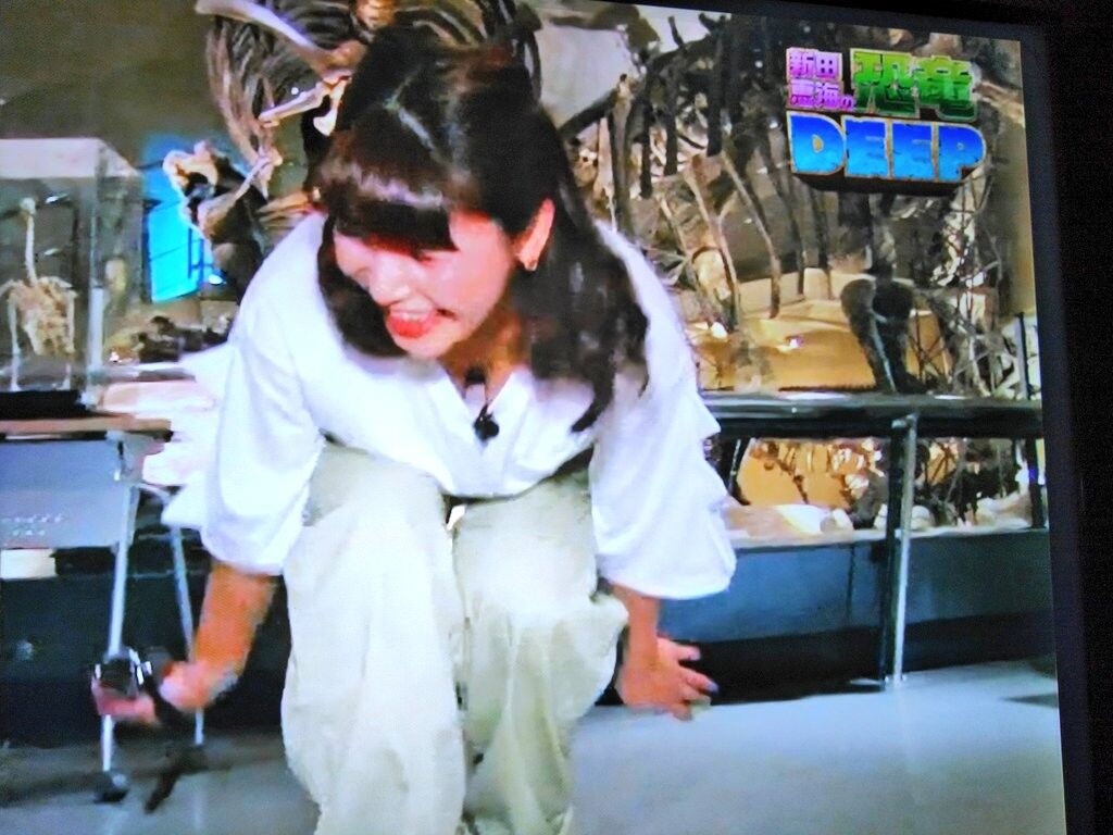 画像 声優の新田恵海さん 番組で豪快に 谷間チラリ してまう エロエロサンタ サムネイルによるアンテナブログ