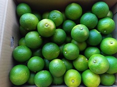 ��ʬ�䤫�ܤ�2024