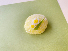 和菓子>汐音屋>雪中花>2020.01.20