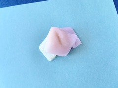 2022.05.05立夏>和菓子>汐音屋>かきつばた