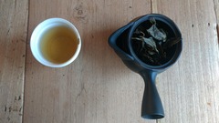 210120�御��������