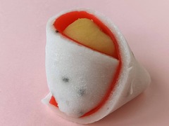 2025.03.16²ۻҡϲʬ䱩Ϥ