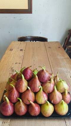 260814���ɻ���������