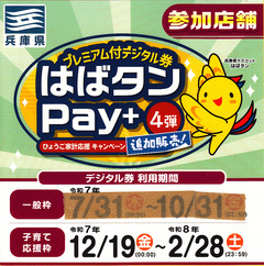 �ϤФ���PAY�裴�ƻҰ����