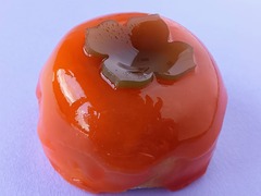 2024.11.22²ۻҡ侮ϲ˭Τ