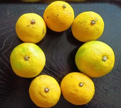 2025.11.18���ܤ��䲫��