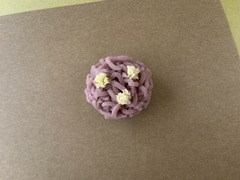 ²ۻҡ伮ġ2024.06.07