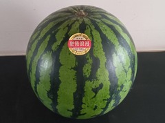 2025.05.12�����������ϲ̡