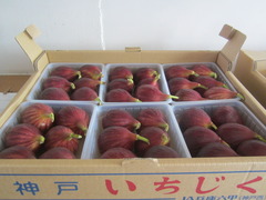 190906���ͤ������� (2)