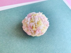 ²ۻҡ伮䷼2䤵ۤҤ2024.03.13