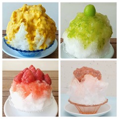 2025.09.09かき氷メニュ4点