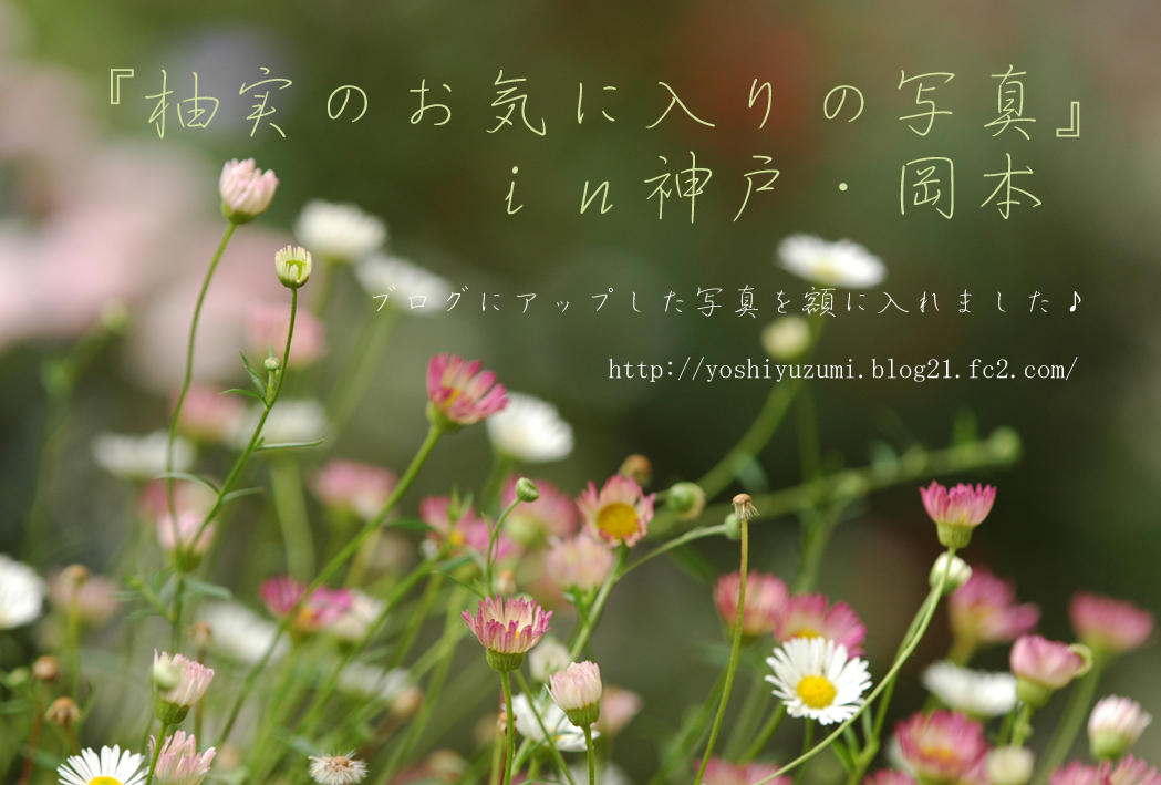 ���Ρ�10/15-28ͳ���μ̿�Ÿ����