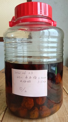 2022ǯ�����ߥ����å�