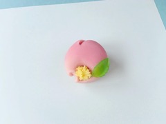 211207>和菓子>汐音屋>大雪>山茶花