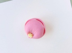 ²ۻҡ伮Ωա2024.02.04