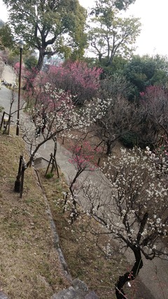 220223�������Ӹ��� (3)