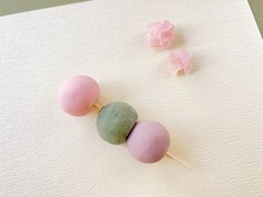 ²ۻҡ伮ָĻҡ2024.03.20