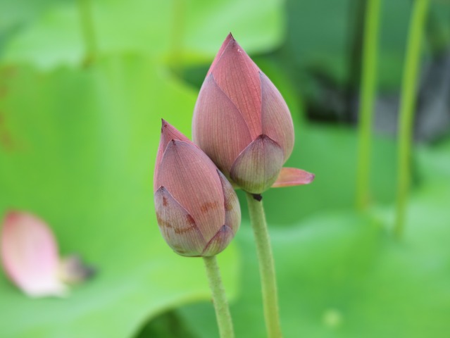 5D13EDE6-BC48-4854-AB3F-B39005B0E929