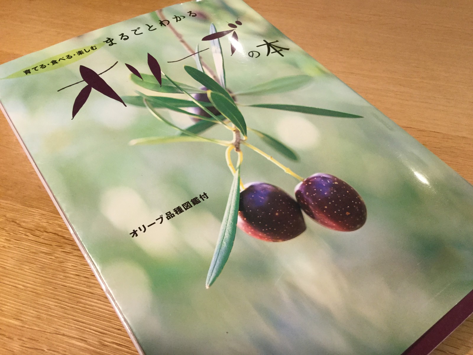 オリーブの新漬け できたぁ ひとひらの葉っぱ オリーブの新漬け できたぁ ひとひらの葉っぱ