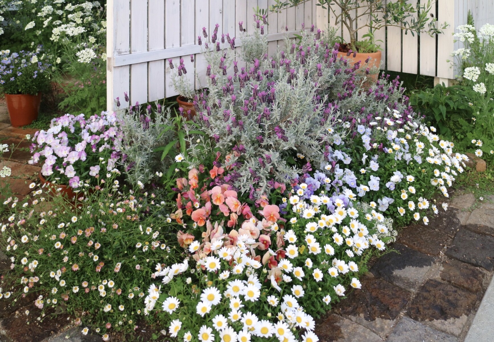花盛りの庭にアゲハチョウのお客様 ひとひらの葉っぱ