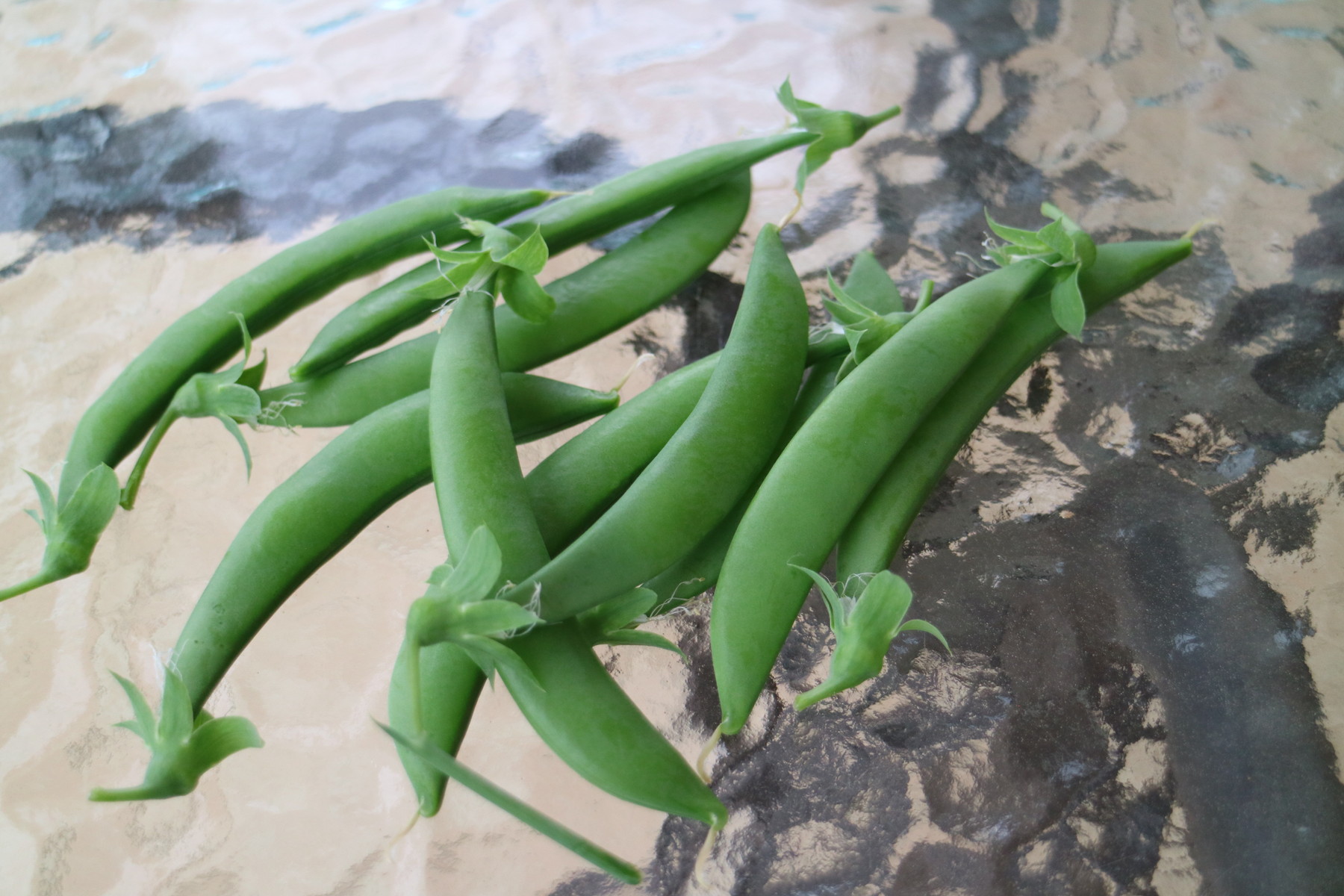 スナップエンドウできました ひとひらの葉っぱ