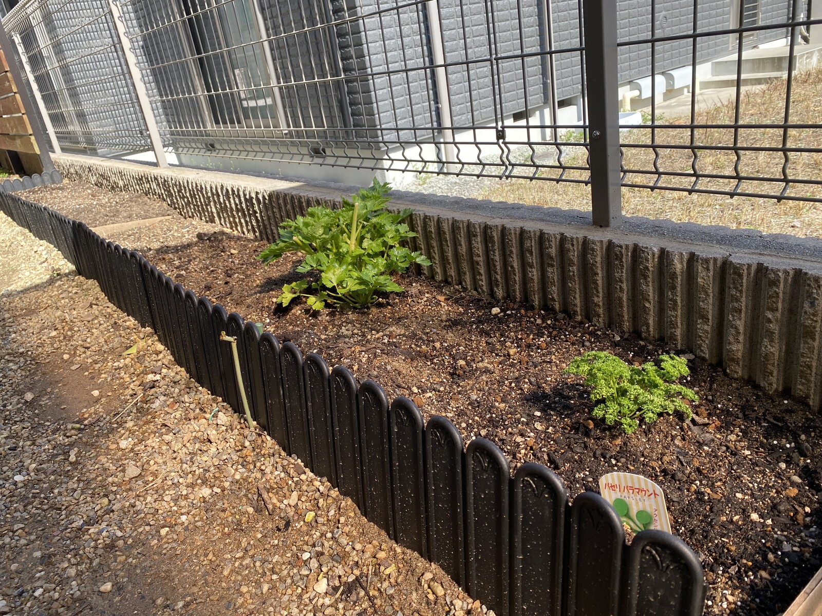 庭の菜園大改造 なんちゃってレイズドベッド ひとひらの葉っぱ