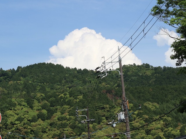 90F4D3DF-D07F-4F41-9889-9C1B30C880FB
