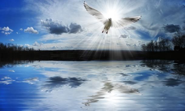 死ぬとどうなる 仏教とキリスト教における死後の世界 無宗教だからこそ知っておきたい 仏教とキリスト教の違いとは