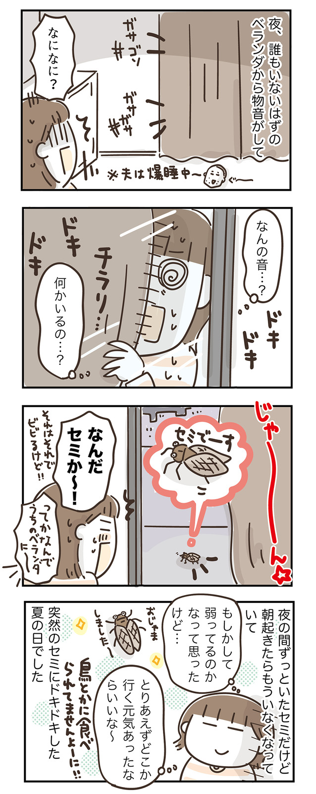 250829