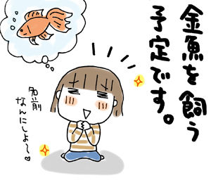 881c4b05.jpg