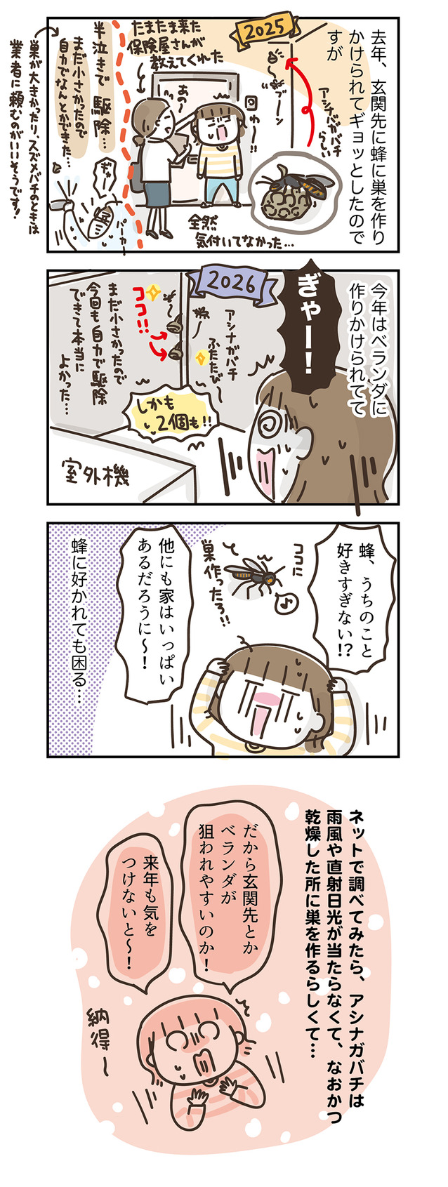 260810