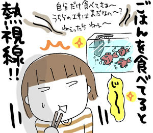 $ひとこま作者