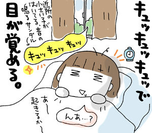 $ひとこま作者