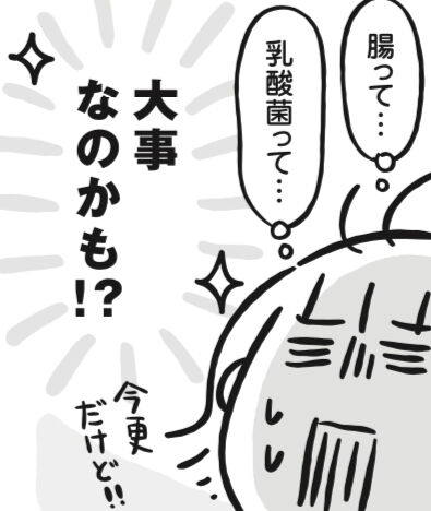 乳酸菌