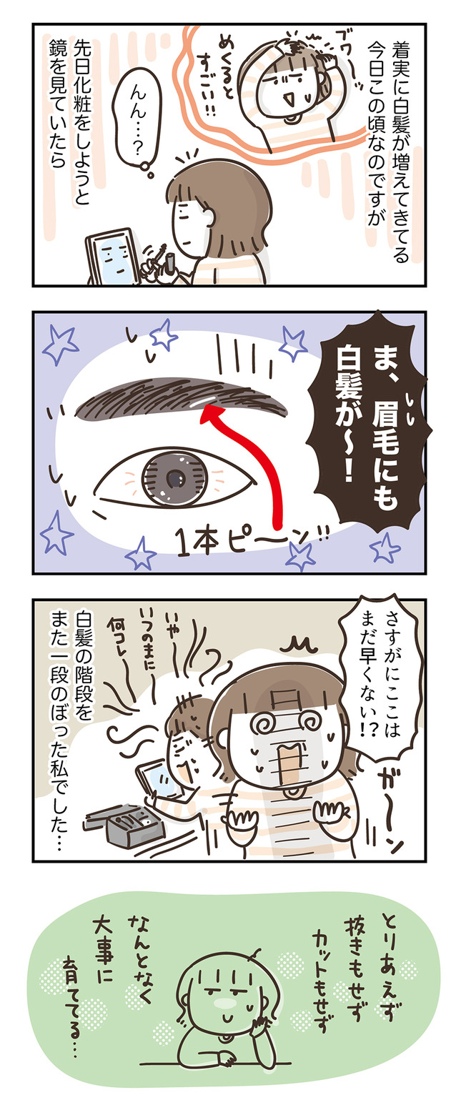 240604