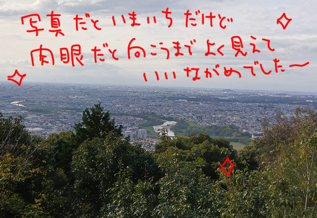 241117143804980