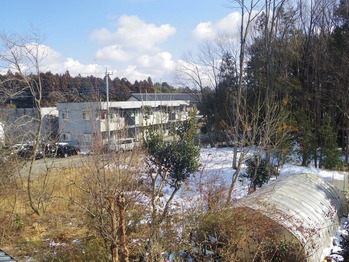 IMGP3128 (2)