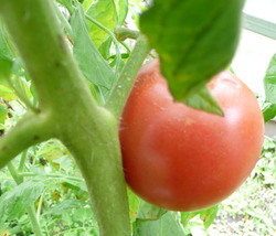 P1110002_edited-1