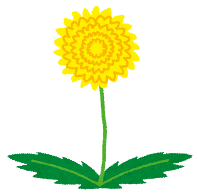 flower_tanpopo