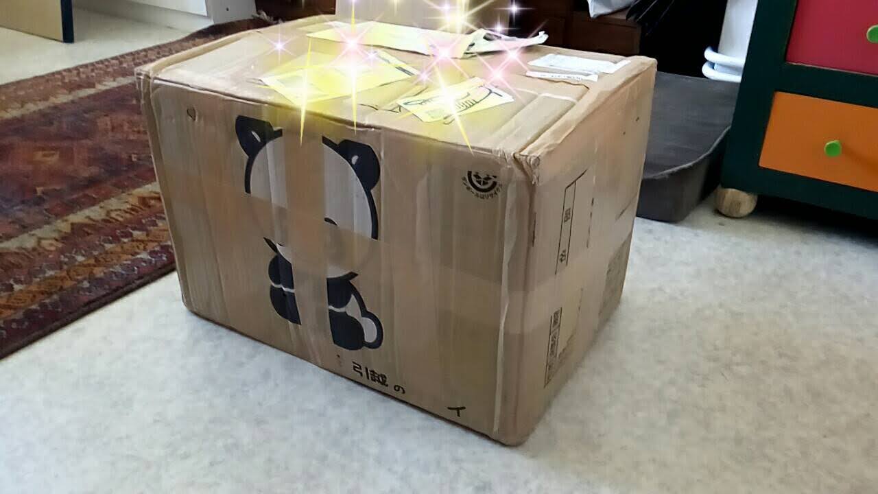 海外に荷物を送る ガムテープ選びと貼り方 お嫁に行きます フランスへ