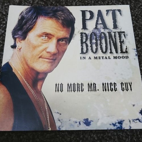 メタルバカ一代／パット・ブーン : 西山瞳 Hitomi Nishiyama Information