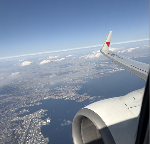 �����꡼�󥷥�å� 2026-01-31 10.25.46