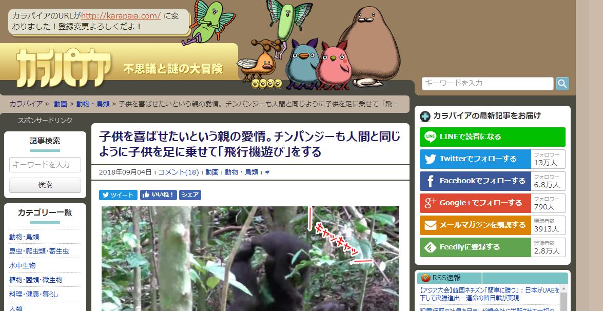 なんか泣ける チンパンジーも子供をあやす事が判明 子供を足に乗せて 飛行機ごっこ ギュッ どうぶつの速報