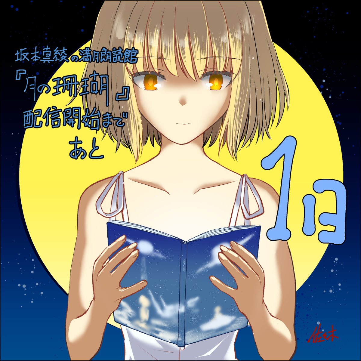 Fate雑記 士凛特化 あるふぁ アルクェイド ブリュンスタッド Fate雑記 士凛特化 あるふぁ アルクェイド ブリュンスタッド